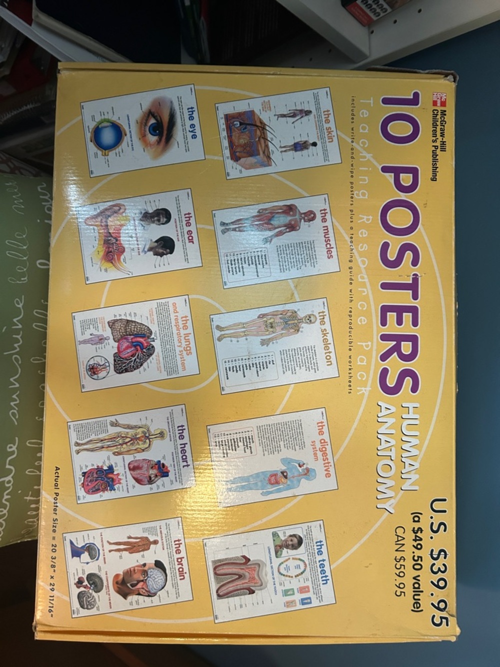 Human Anatomy Posters Set - Yellow -